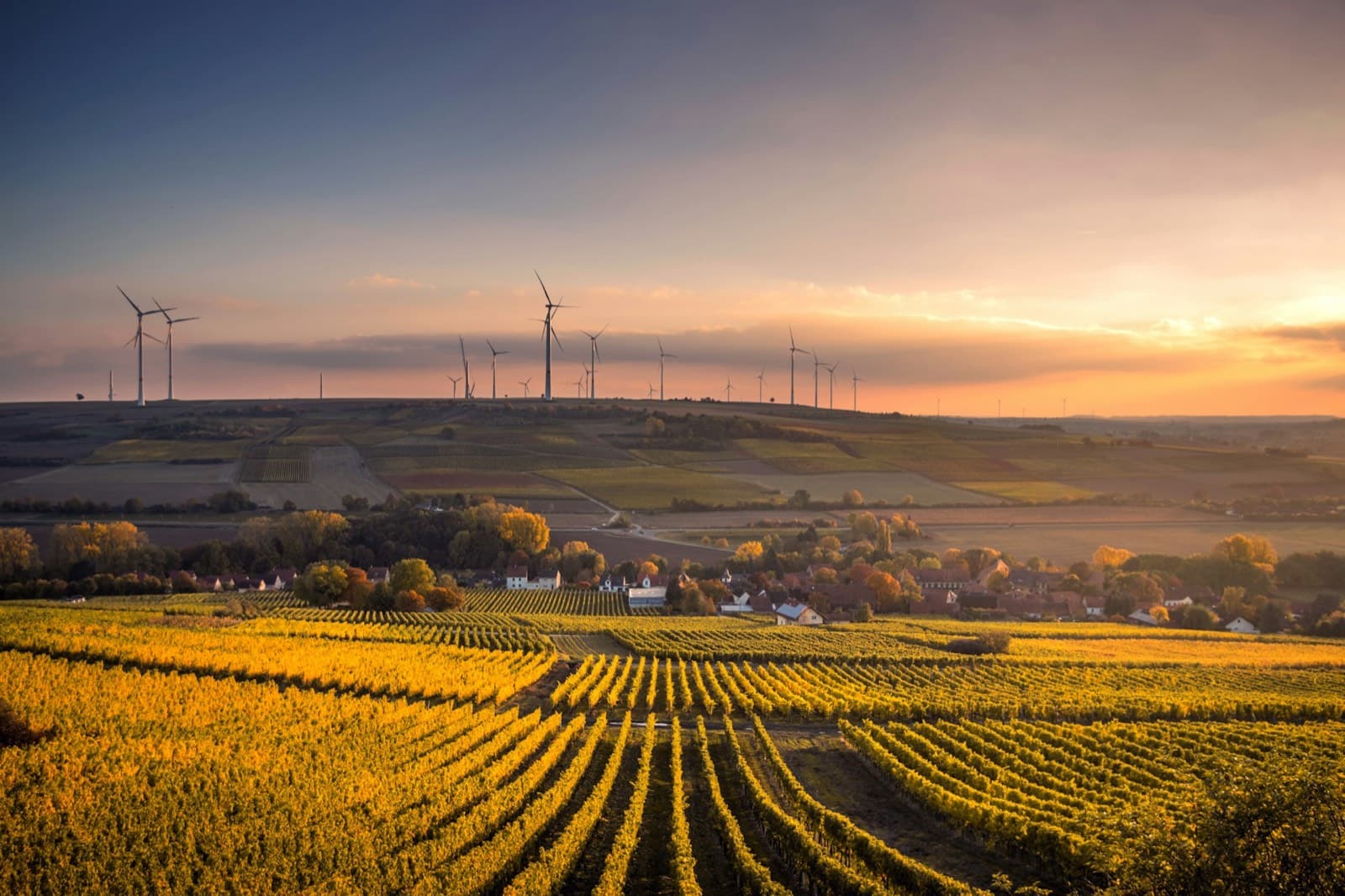 Rural landscape at sunset