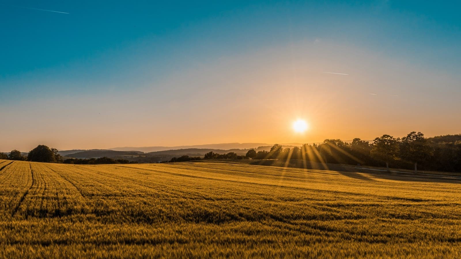 Rural farmland at golden hour